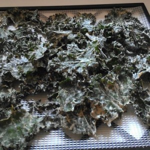 Kale Chips